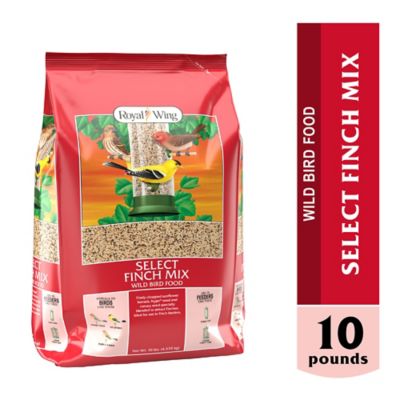 Royal Wing Select Finch Mix Wild Bird Food, 10 lb.