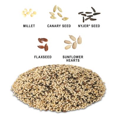 Image showing  Select Finch Mix Wild Bird Food, 10 lb.