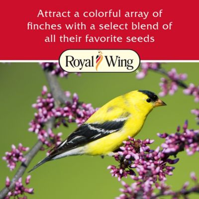 Image showing  Select Finch Mix Wild Bird Food, 10 lb.