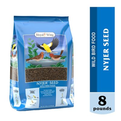 Royal Wing Nyjer Seed Wild Bird Food, 8 lb.