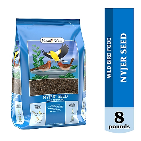 Royal Wing Nyjer Seed Wild Bird Food, 8 lb.