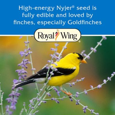 Image showing  Nyjer Seed Wild Bird Feed
