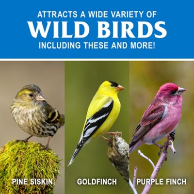 Image showing  Nyjer Seed Wild Bird Feed