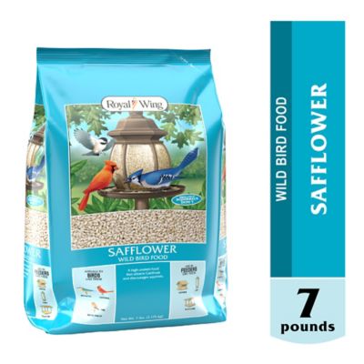 Royal Wing Safflower Wild Bird Food, 7 lb.