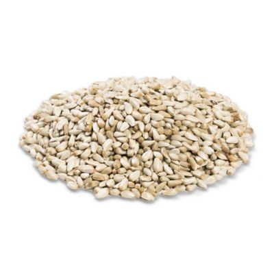 Image showing  Safflower Wild Bird Food