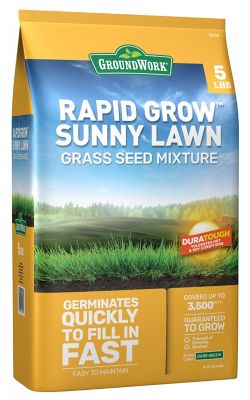 GroundWork 5 lb. Sunny Lawn Grass Seed, North