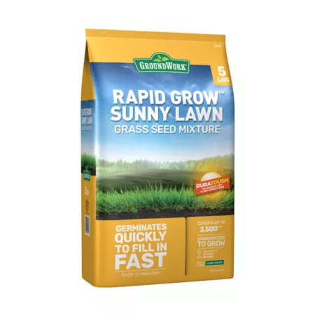 GroundWork Sunny Grass Seed 5 lb 700 sq ft North Grass Seed