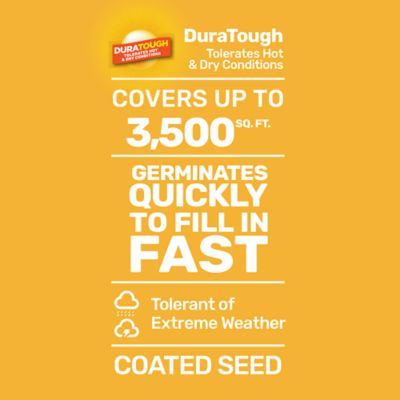 Image showing  5 lb. 700 sq. ft. Sunny Lawn Grass Seed, North