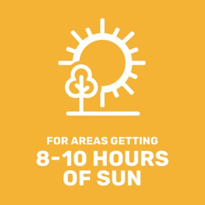 Image showing  5 lb. 700 sq. ft. Sunny Lawn Grass Seed, North