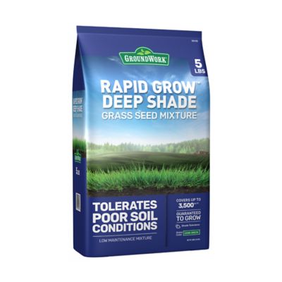 GroundWork 5 lb. Dense Shade Mix Coated Grass Seed, North