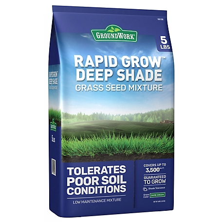 GroundWork 5 lb. Dense Shade Mix Coated Grass Seed, North