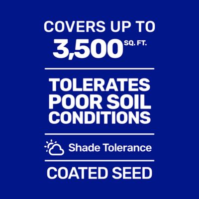 Image showing  5 lb. 700 sq. ft. Dense Shade Mix Coated Grass Seed, North