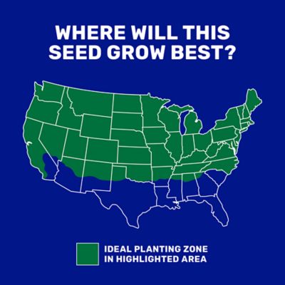 Image showing  5 lb. 700 sq. ft. Dense Shade Mix Coated Grass Seed, North