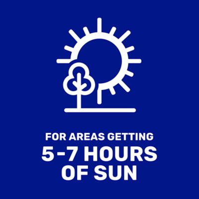 Image showing  5 lb. 700 sq. ft. Dense Shade Mix Coated Grass Seed, North