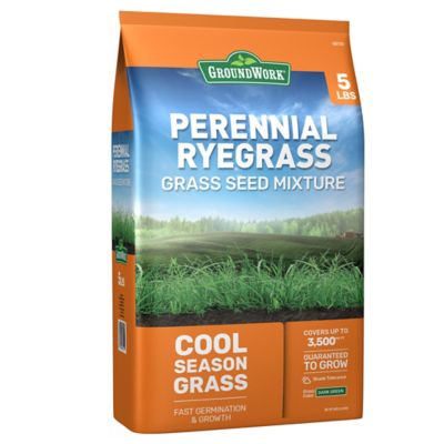 GroundWork 5 lb. Perennial Ryegrass Grass Seed This grass seed works great