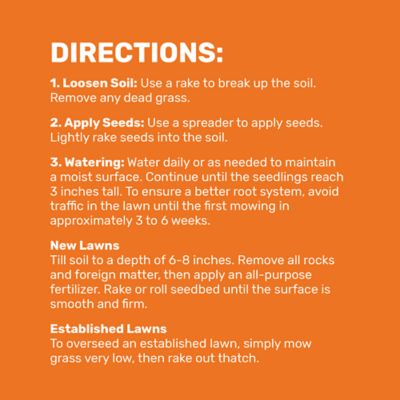 Image showing 6 th GroundWork 5 lb. 3,500 sq. ft. Perennial Ryegrass Grass Seed