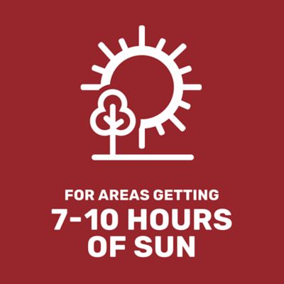 Image showing  5 lb. 700 sq. ft. Landscapers Mix Grass Seed, North