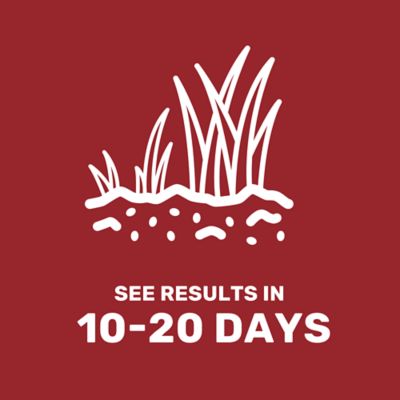 Image showing 5 th GroundWork 5 lb. 3,500 sq. ft. Landscapers Mix Grass Seed, South