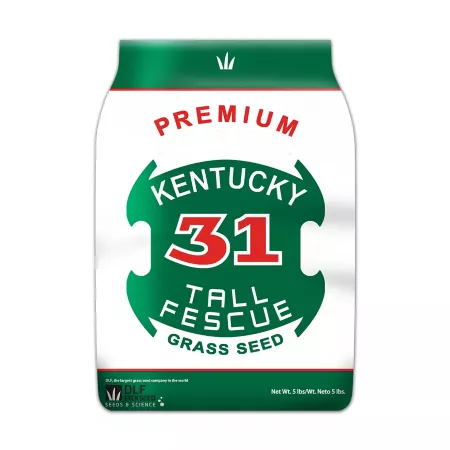 DLF Kentucky-31 Coated Tall Fescue Seed 5 lb 625 sq ft. Grass Seed