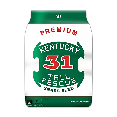 DLF 5 lb. Kentucky-31 Coated Tall Fescue Grass Seed