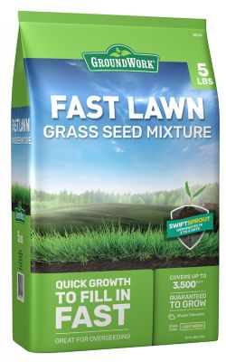 GroundWork 5 lb. Fast Lawn Mix Grass Seed