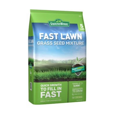 GroundWork 5 lb. Fast Lawn Grass Seed Mixture