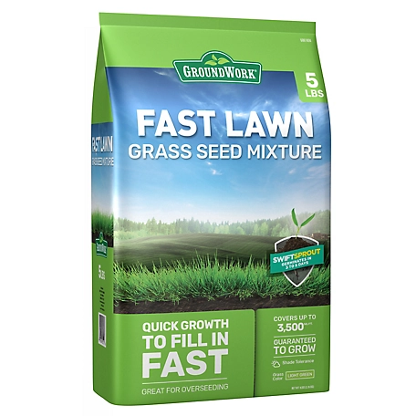 GroundWork 5 lb. Fast Lawn Grass Seed Mixture