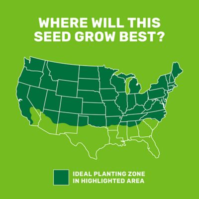 Image showing  5 lb. 700 sq. ft. Fast Lawn Grass Seed Mixture