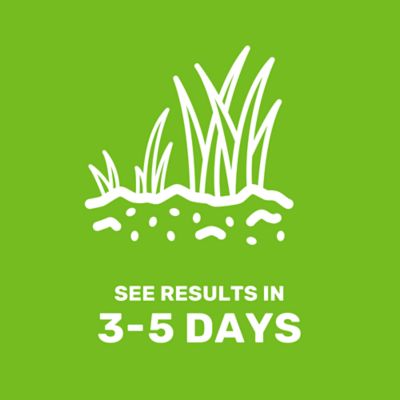 Image showing 5 th GroundWork 5 lb. 700 sq. ft. Fast Lawn Grass Seed Mixture