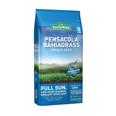 GroundWork 5 lb. Pensacola Bahiagrass Grass Seed Mixture