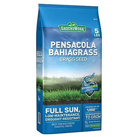 GroundWork 5 lb. Pensacola Bahiagrass Mix Grass Seed