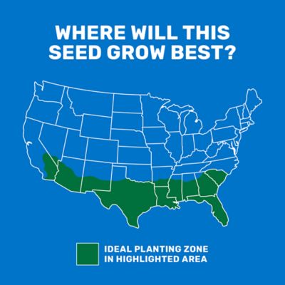 Image showing  5 lb. 1,000 sq. ft. Pensacola Bahiagrass Grass Seed Mixture