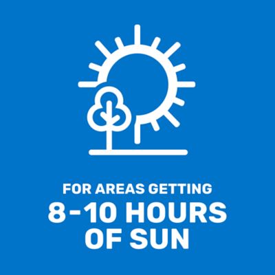 Image showing  5 lb. 1,000 sq. ft. Pensacola Bahiagrass Grass Seed Mixture