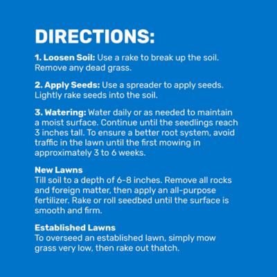 Image showing 6 th GroundWork 5 lb. 1,000 sq. ft. Pensacola Bahiagrass Grass Seed Mixture