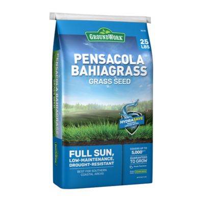 GroundWork 25 lb. Pensacola Bahiagrass Grass Seed Mixture