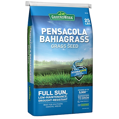 GroundWork 25 lb. Pensacola Bahiagrass Grass Seed Mixture