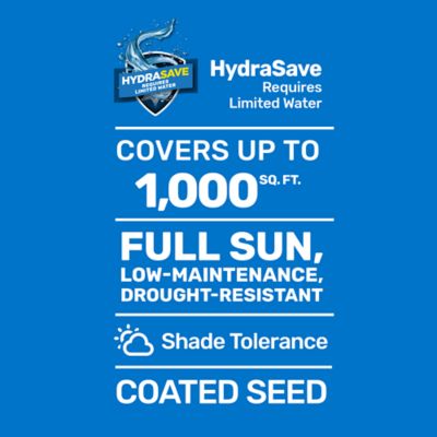 Image showing  25 lb. 5,000 sq. ft. Pensacola Bahiagrass Grass Seed Mixture