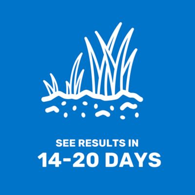 Image showing 5 th GroundWork 25 lb. 5,000 sq. ft. Pensacola Bahiagrass Grass Seed Mixture