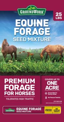 GroundWork 25 lb. Equine Forage Mix Grass Seed, North