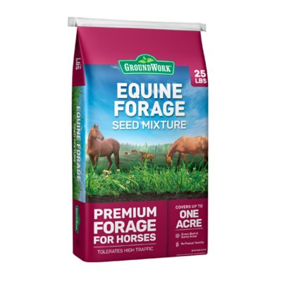 GroundWork 25 lb. Equine Forage Mix Grass Seed, North