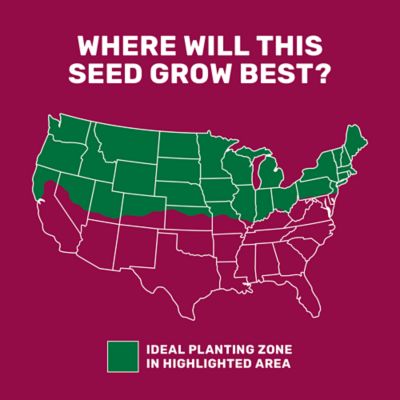 Image showing  25 lb. 43,560 sq. ft. Equine Forage Mix Grass Seed, North