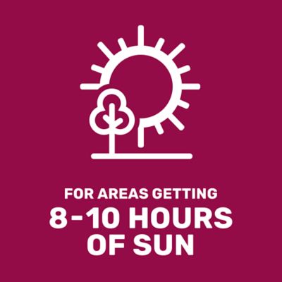 Image showing  25 lb. 43,560 sq. ft. Equine Forage Mix Grass Seed, North