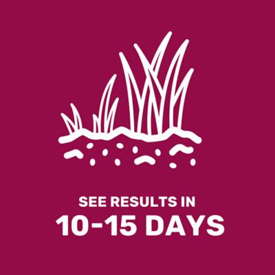 Image showing 5 th GroundWork 25 lb. 43,560 sq. ft. Equine Forage Mix Grass Seed, North