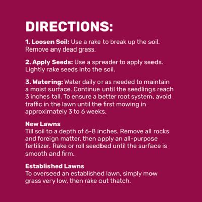 Image showing 6 th GroundWork 25 lb. 43,560 sq. ft. Equine Forage Mix Grass Seed, North