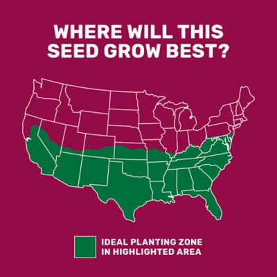 Image showing  25 lb. 43,560 sq. ft. Equine Forage Mix Grass Seed, South