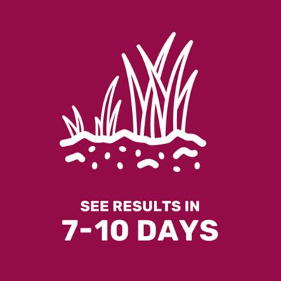 Image showing 5 th GroundWork 25 lb. 43,560 sq. ft. Equine Forage Mix Grass Seed, South