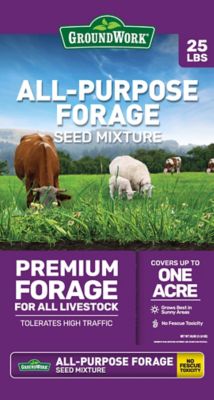 GroundWork 25 lb. All-Purpose Forage Premium Grass Seed, North