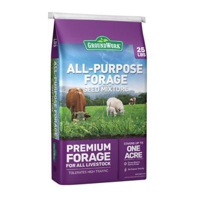 GroundWork 25 lb. 43,560 sq. ft. All-Purpose Forage Grass Seed, North