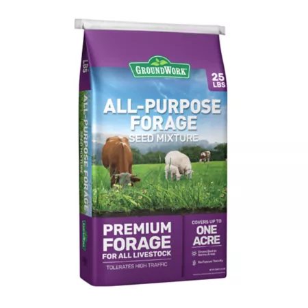 GroundWork All Purpose Forage Grass Seed 25 lb 43 560 sq ft North Grass Seed