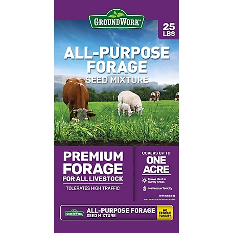 GroundWork 25 lb. All-Purpose Forage Grass Seed, North at Tractor